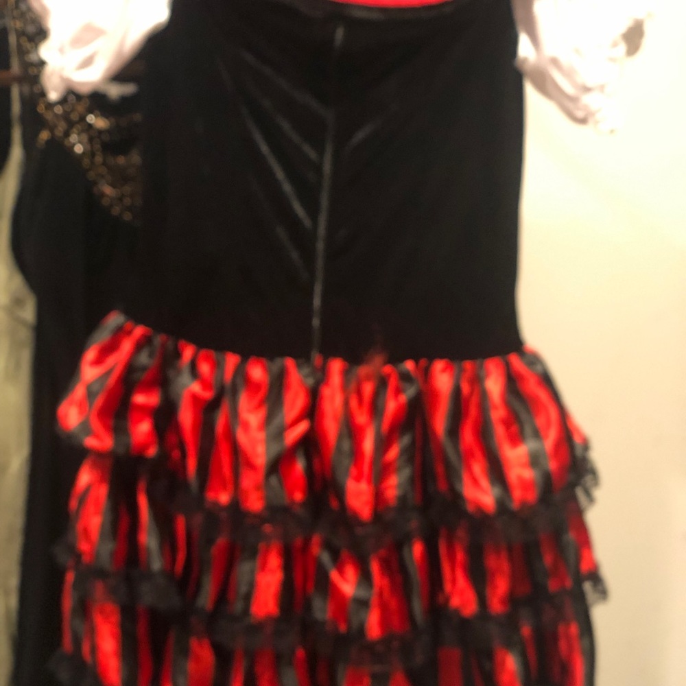 Sexy Pirate Costume - Picture 3 of 5
